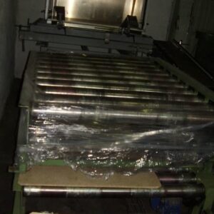 used palett conveyor belt